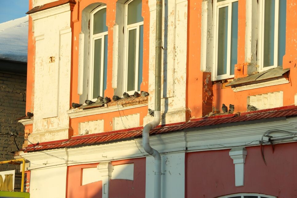 Льва Толстого, 32
Фото: Виталий Барабаш