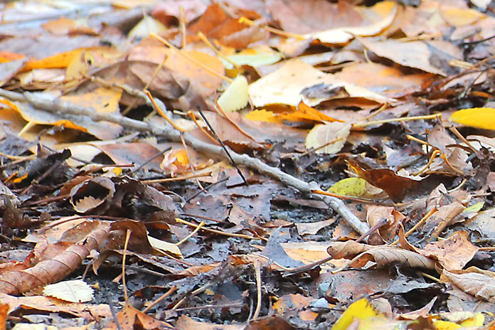    Фото из архива "Континента Сибирь"