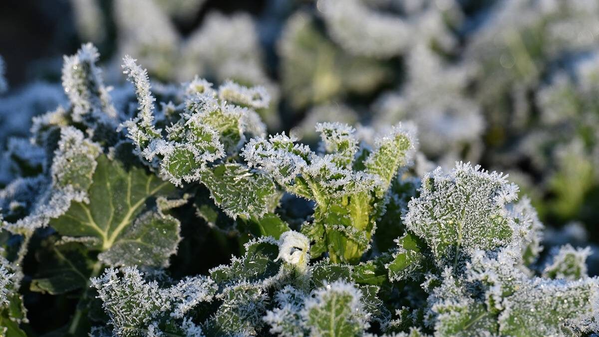    Фото: Shutterstock