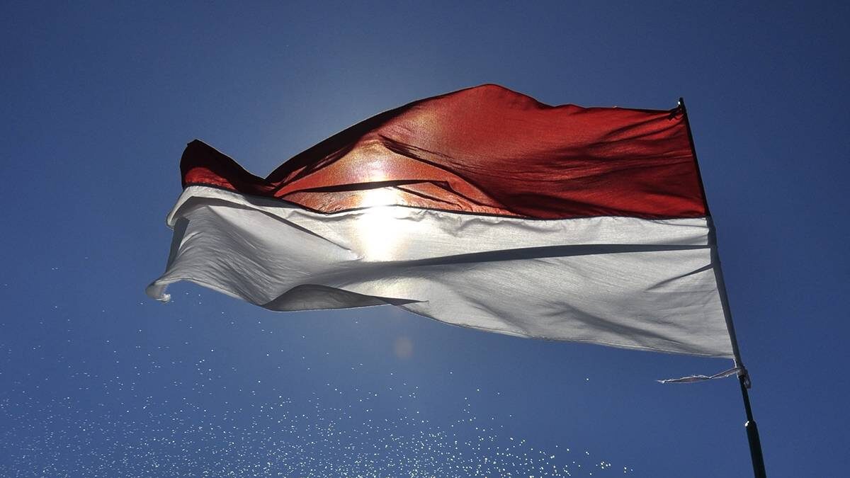    Фото: Shutterstock