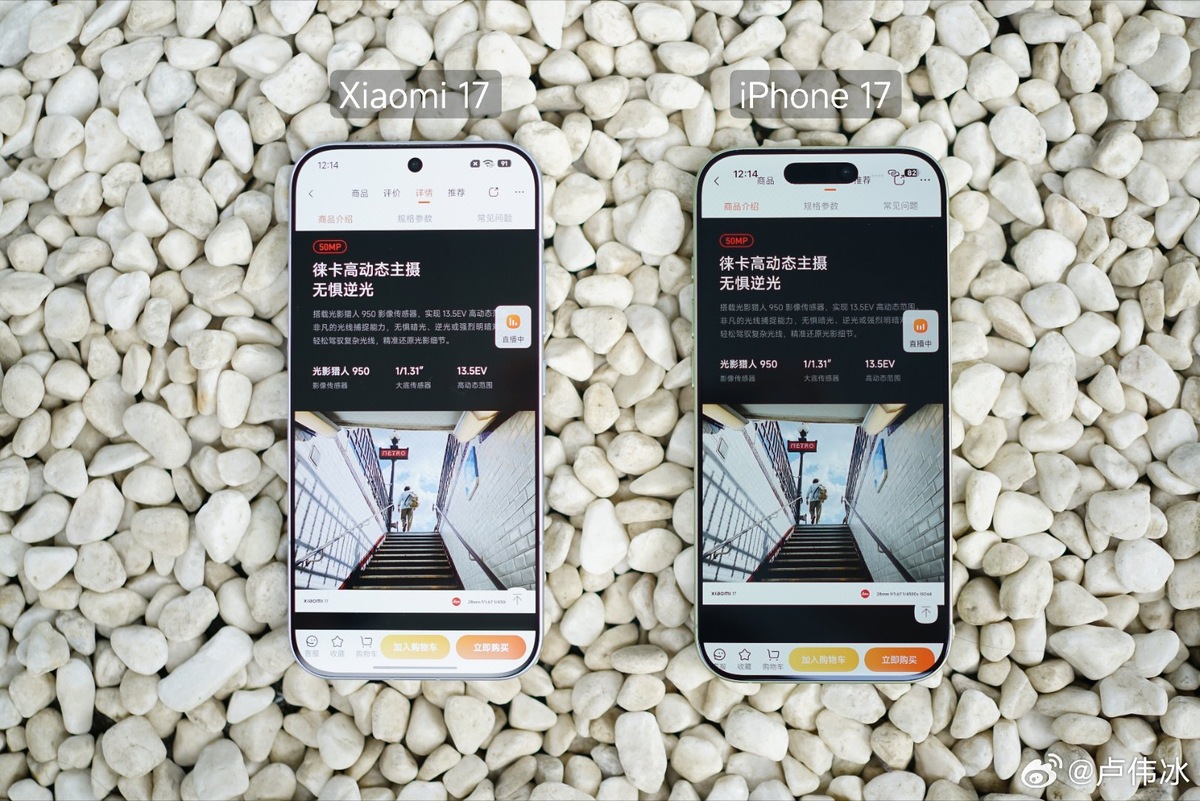 Фото Лу Вейбинг  📷
