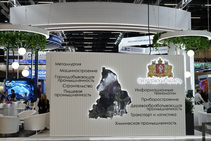     Фото: ДИП Свердловской области