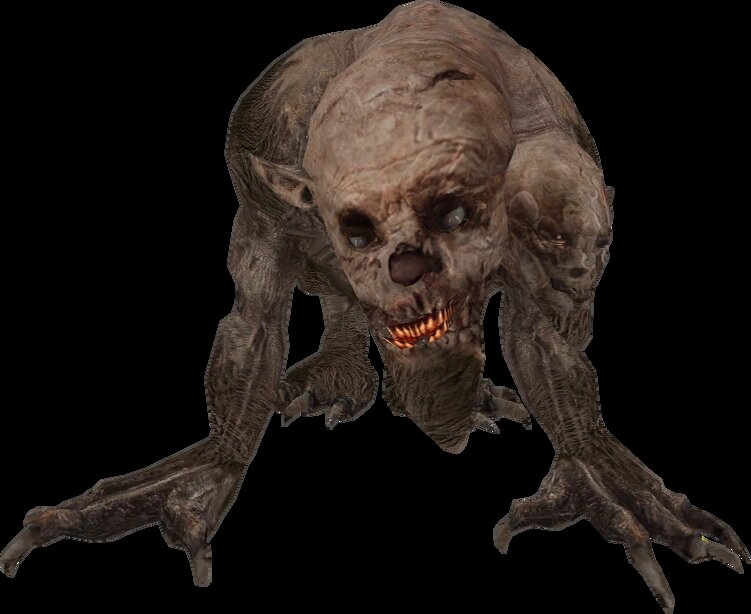 Неизвестный подвид