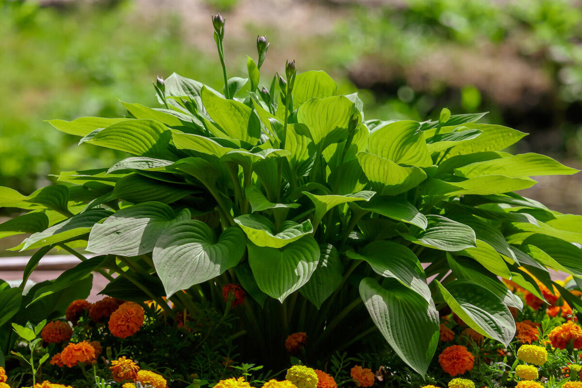     123RF/legion-media.ru