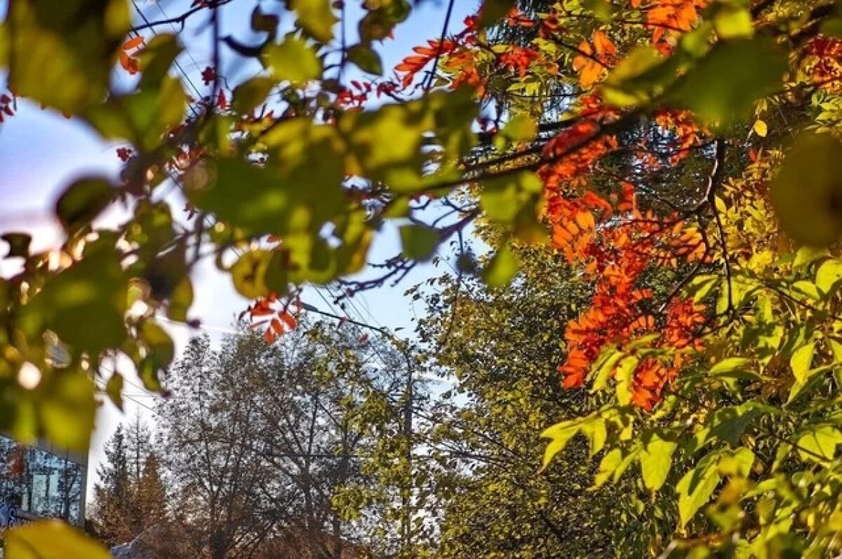    До -5 градусов прогнозируется в Псковской области в ночь на 1 октября