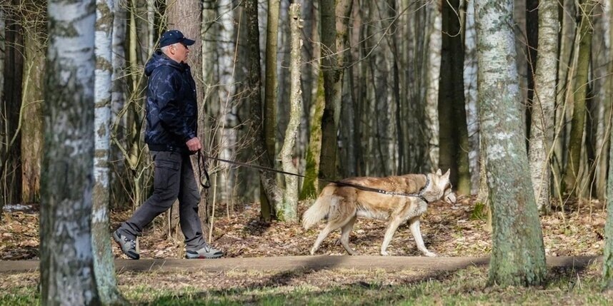    Алёна Бобрович