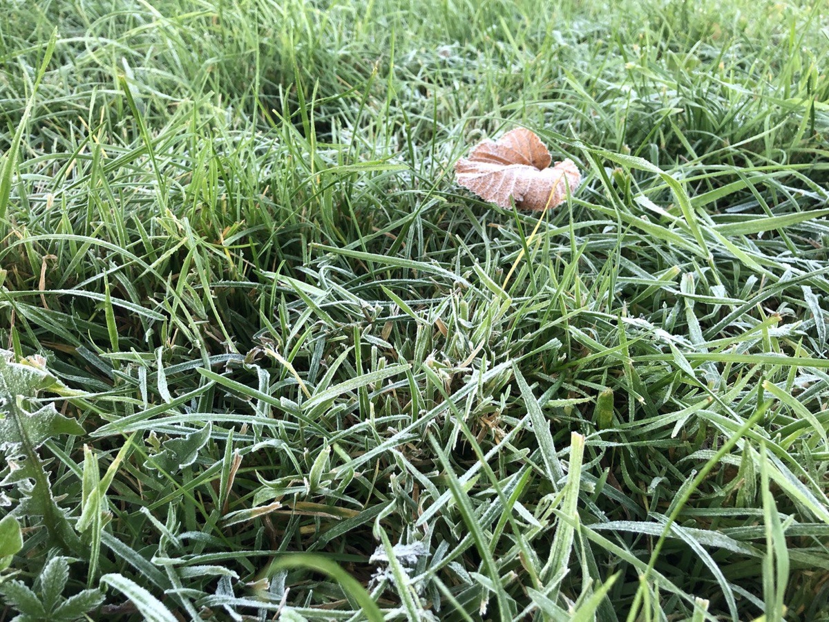    Фото: Мойка78/Вероника Смирнова