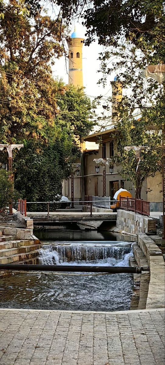 Канал Калькауз в махалля Хазрати Имам. Фото племянницы автора.