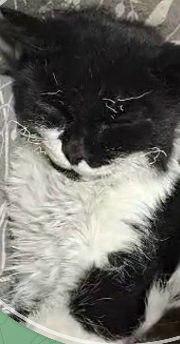 Фото: Госветслужба Забайкалья