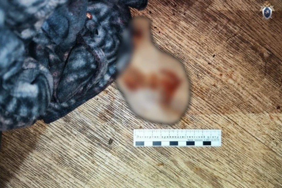    Житель Комсомольска-на-Амуре пойдет под суд за убийство поющего мужчины