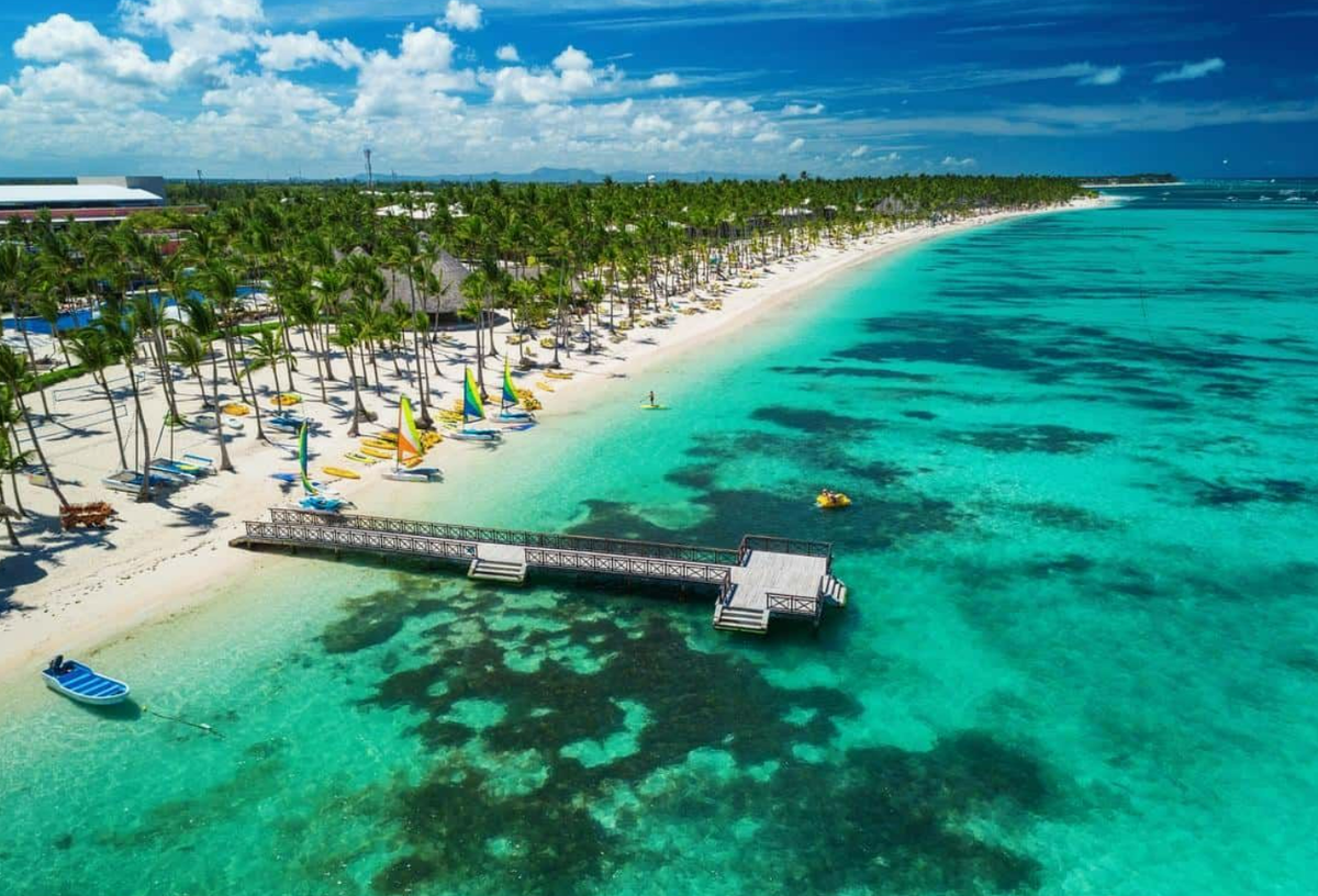 Кадр из шоу "Звезды в джунглях" 05.10.2025