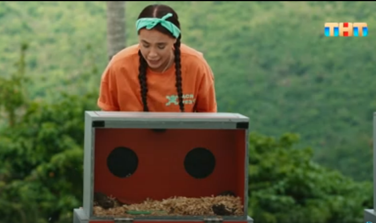 Кадр из шоу "Звезды в джунглях" 05.10.2025