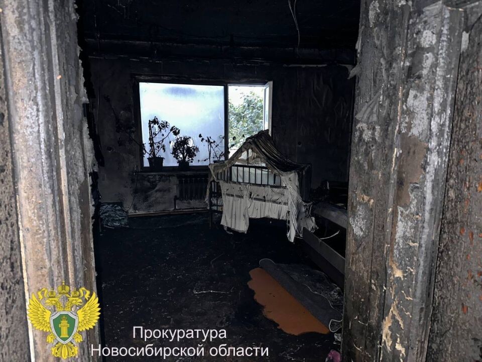    Ребенок умер при пожаре в Новосибирской области. Источник: Прокуратура Новосибирской области