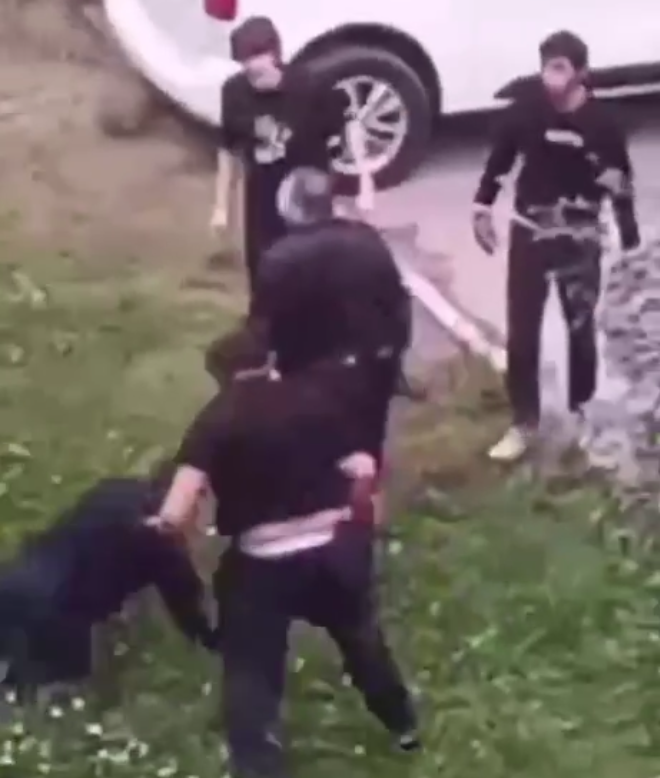    Скриншот: t.me/sashakots/56610