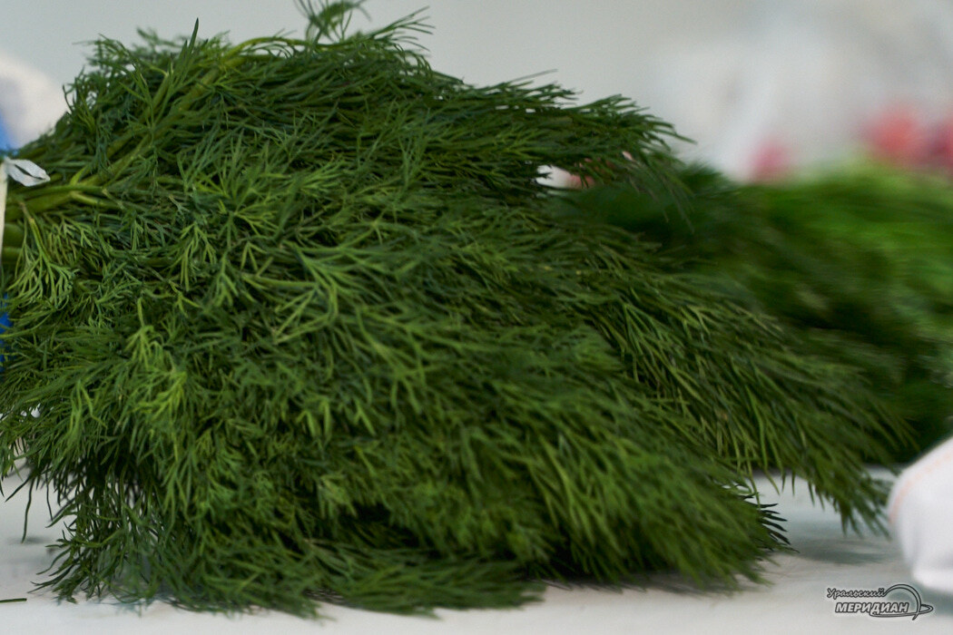    Фото Лидия Аникина © ИА «Уральский меридиан»