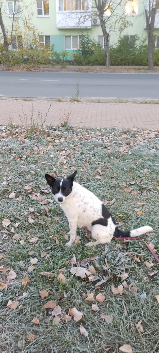 Нехотя позирует