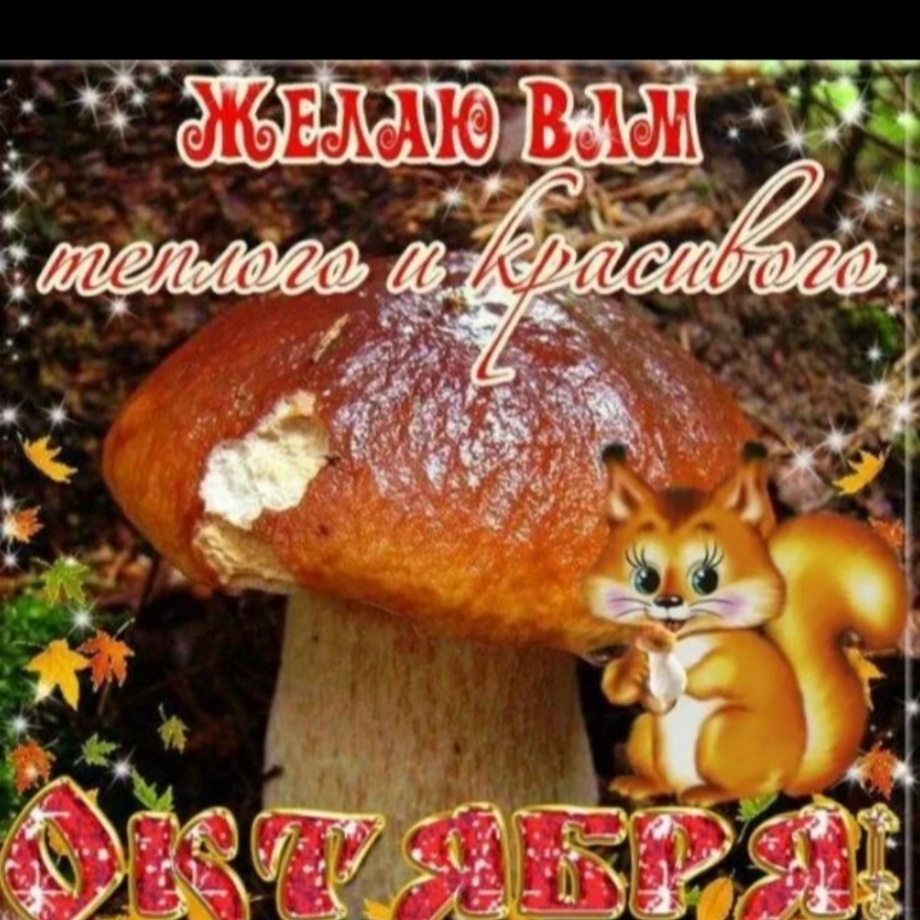 🍁🍁🍁🍁🍁🍁🍁🍁🍁🍁🍁🍁🍁🍁🍁🍁🍁🍁