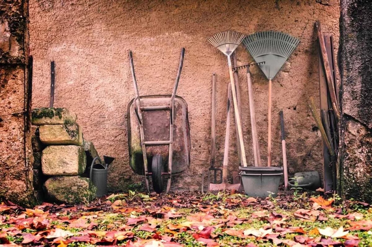    Подождем до весны.