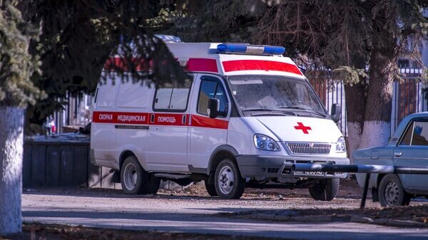    © Sputnik / Михаил Хасиев