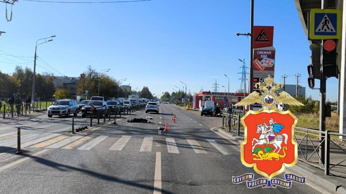    Фото: Пресс-служба ГУ МВД России по Московской области