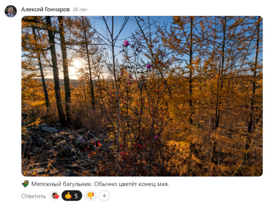 Скриншот участника флешмоба Алексея Гончарова «Осенняя рапсодия».