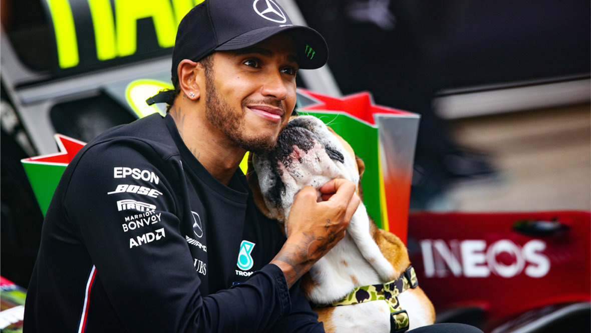    Льюис Хэмилтон и Роско. Getty Images
