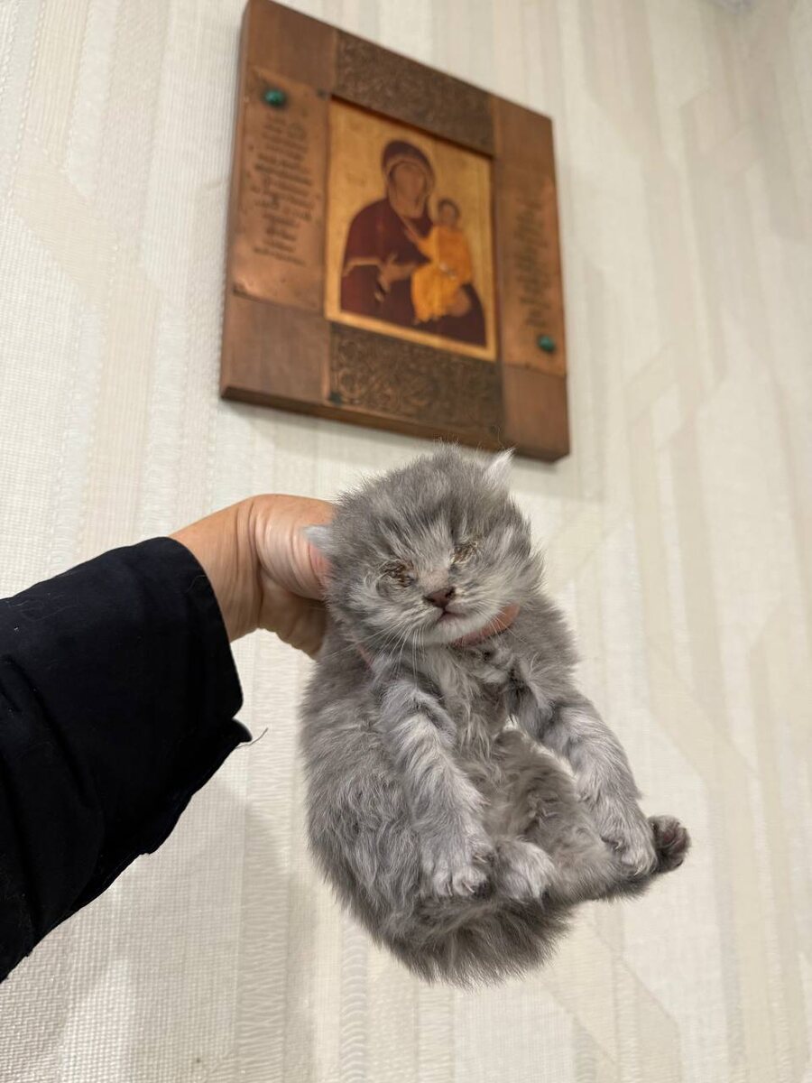 Совсем крошка. Фото из архива автора