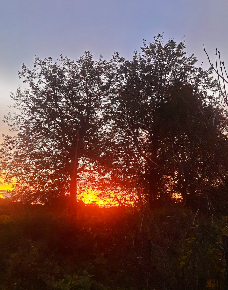 Фото автора. Таких закатов этим летом не было - зато сейчас они необыкновенно сияют.