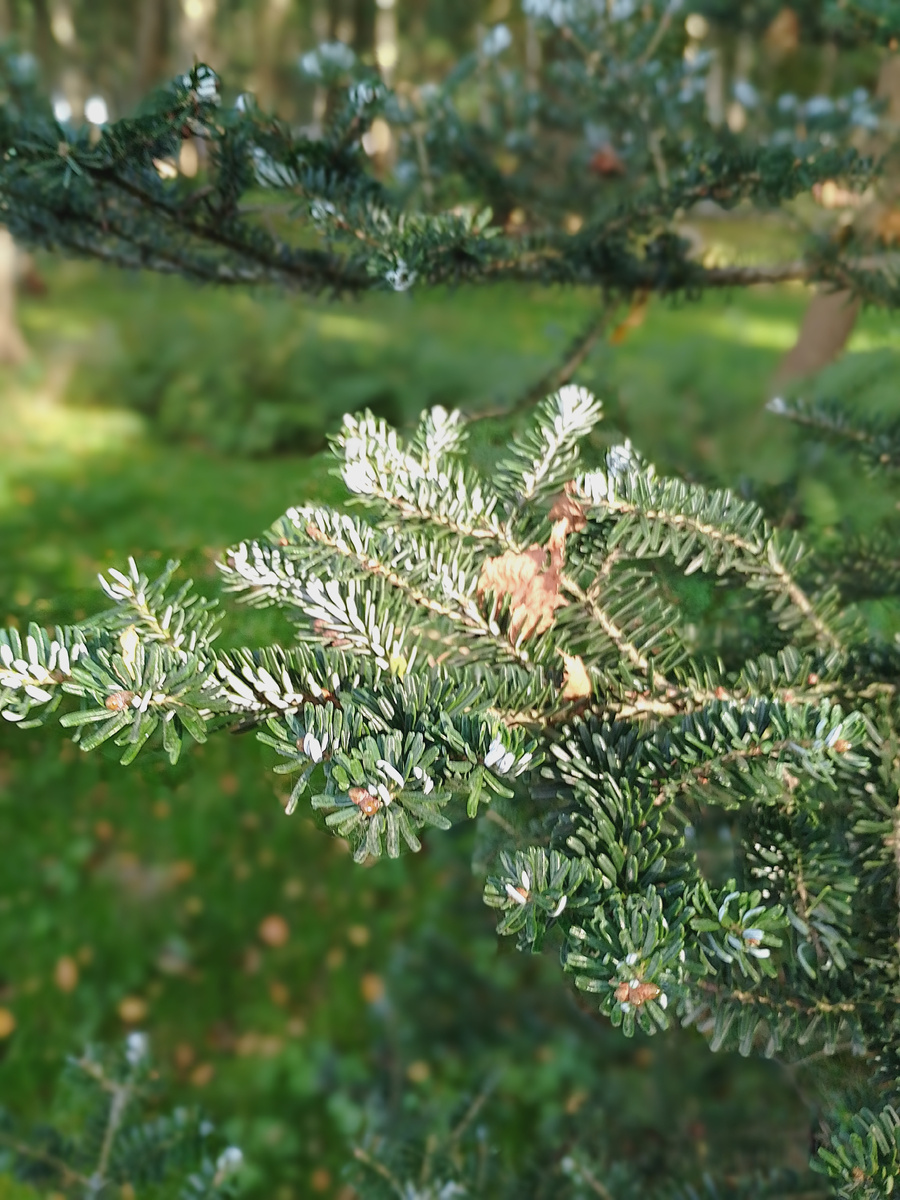 Фото автора. Осталось с поездки.