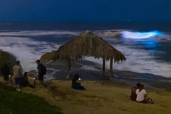    фото: cdnn11.img.sputnik.by