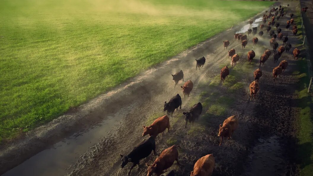    Meng Dingbo/Globallookpress