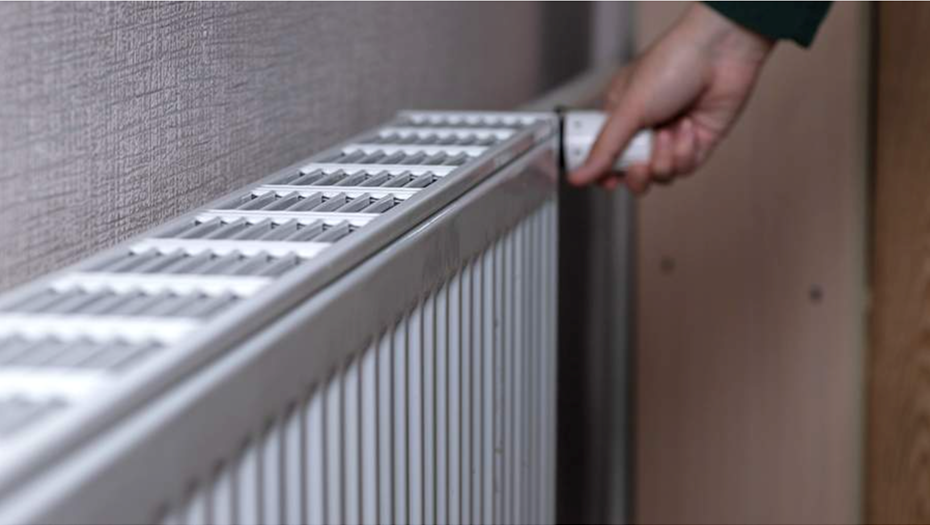 Автор фото: ТАСС/Светлана Денисова