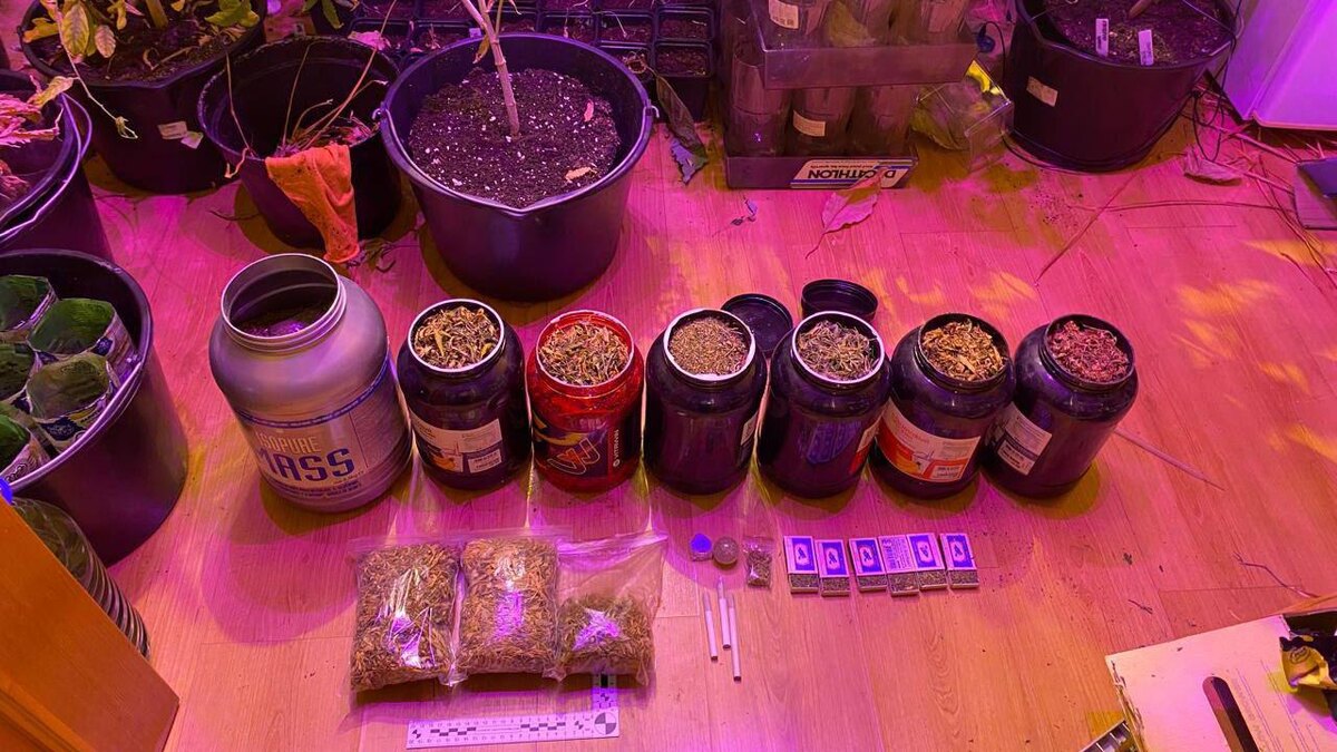    Фото: t.me/mvdszfo