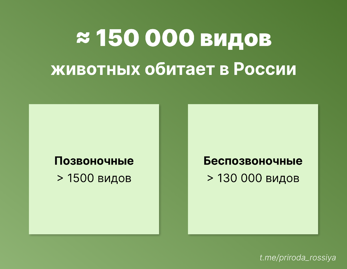 Процесс выявления видового состава животных в России не завершён. К тому же видовой состав по разным причинам меняется со временем, например, из-за изменения климата. 