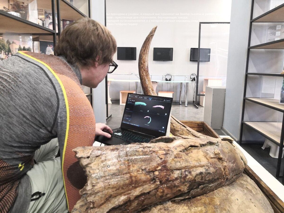    © Министерство культуры Пермского края