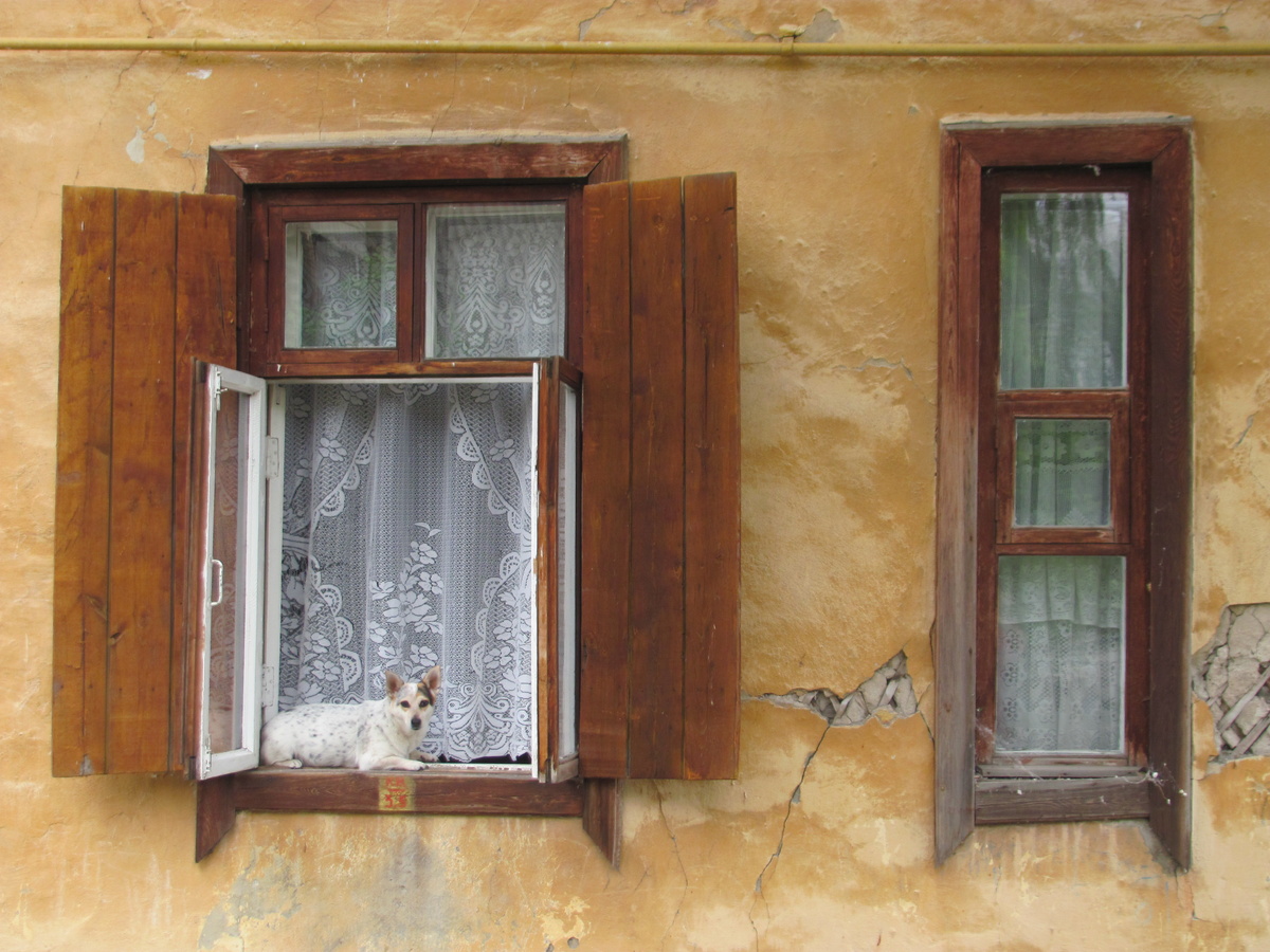 Фото автора