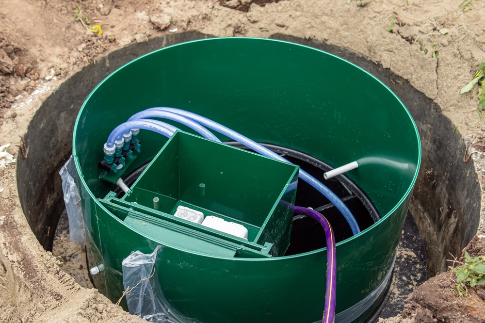 Источник фото shutterstock.com