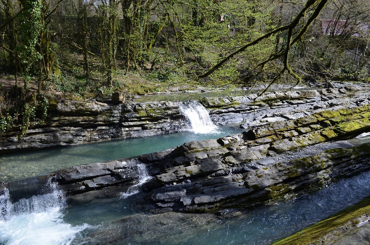    Фото: пресс-служба, источник: Сочинский национальный парк