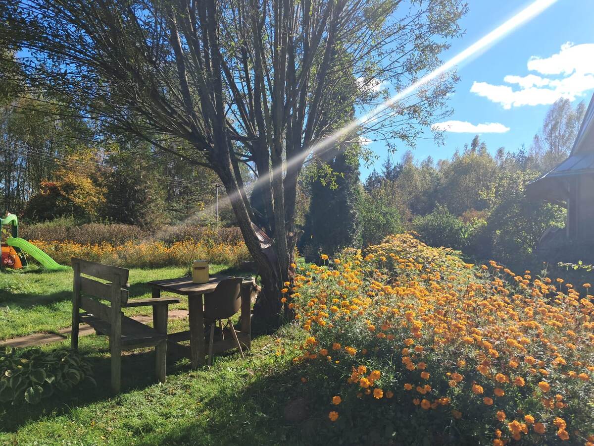 Солнечный луч.