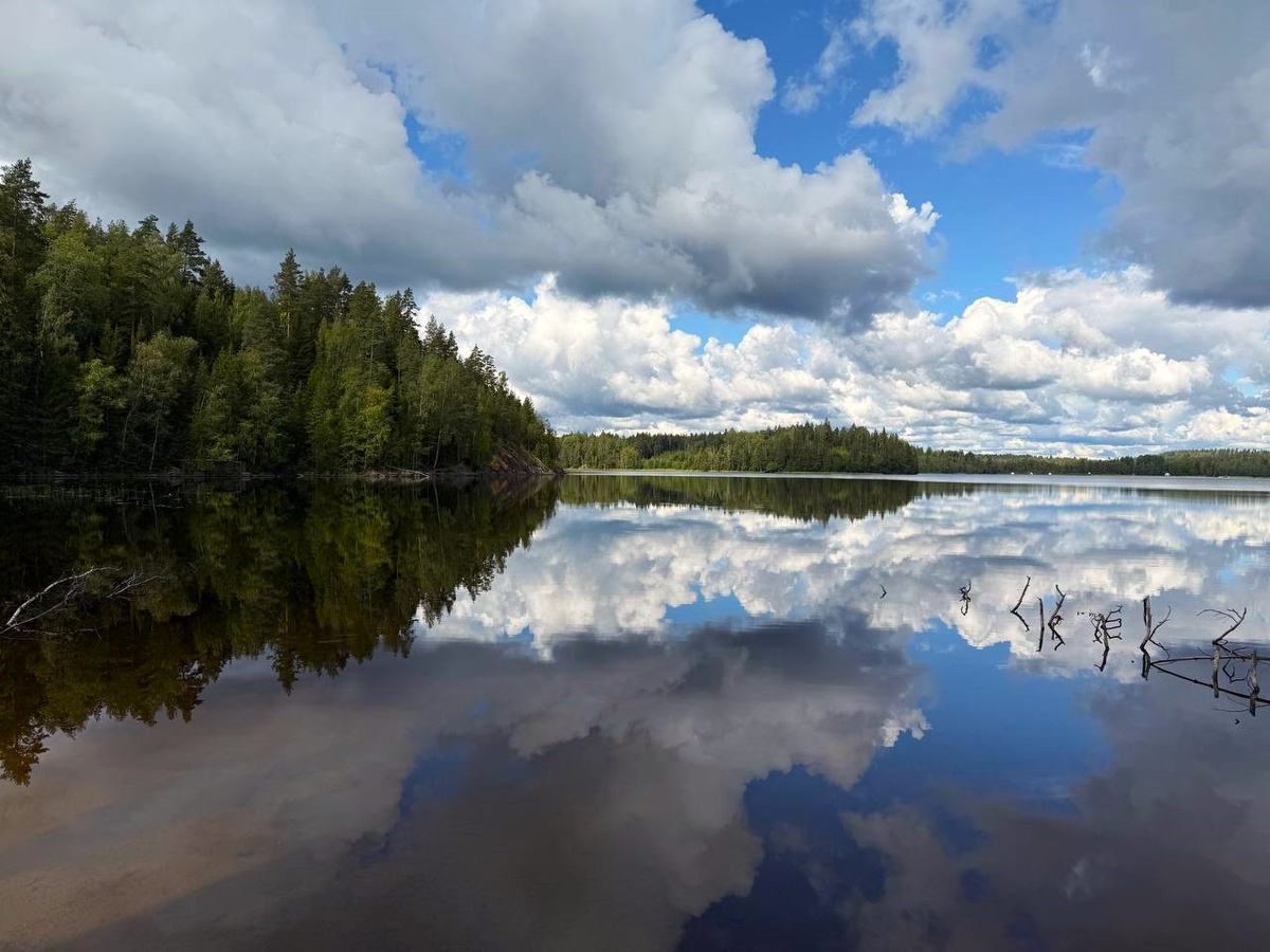 Панорама озера Капитоновское.