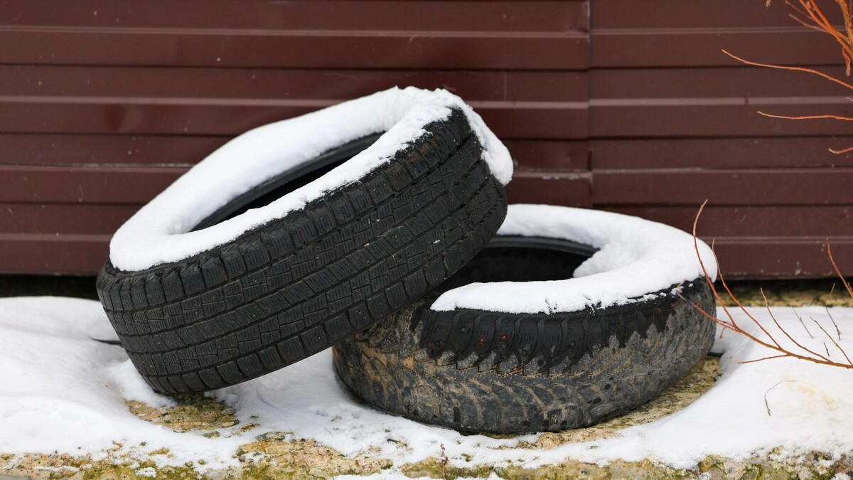    Фото: Александр Чирва/«Ямал-Медиа»
