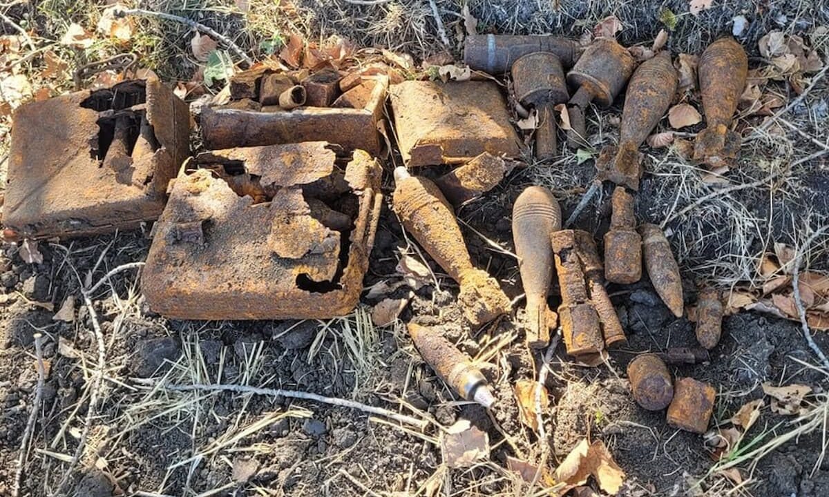    Фото t.me/rosgvard_krasnodar