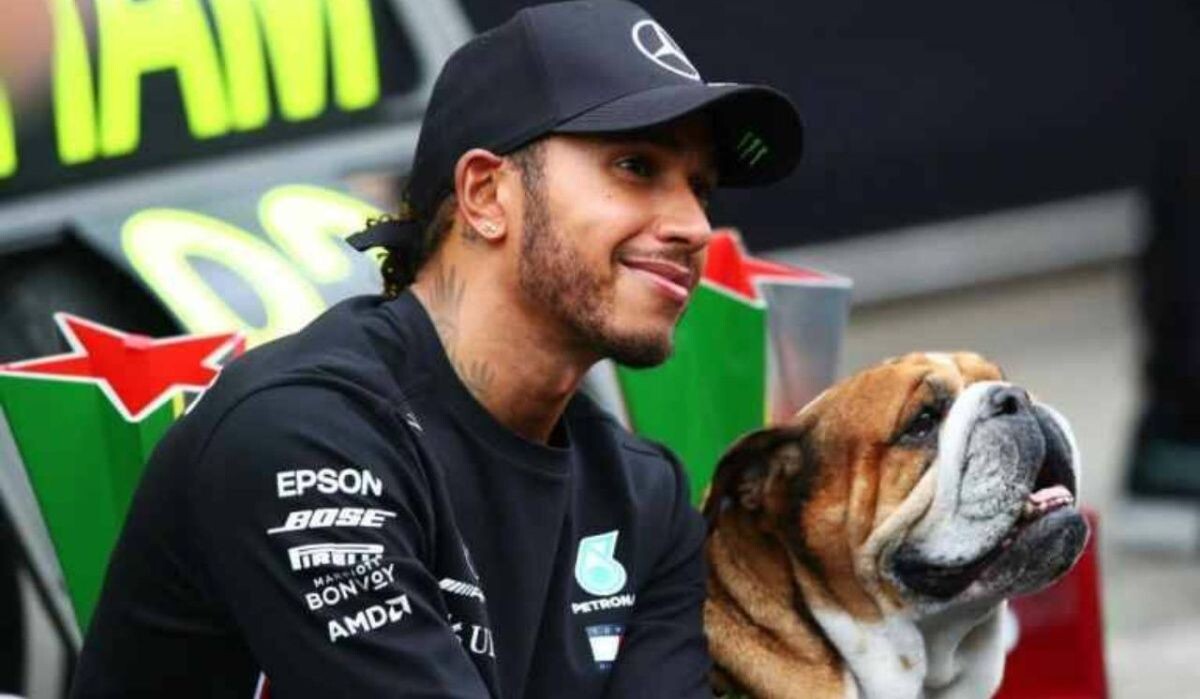     Хэмилтон с Роско. Источник: rbc.ru Автор фото: Joe Portlock