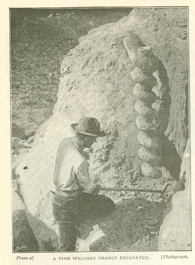 Изображение взято с сайта https://i.pinimg.com/originals/12/e9/98/12e9988bd0217fd8c509401282f838a7.jpg