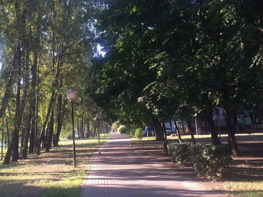 Что-бы не свихнуться от тоски ходил без устали по Курску и снимал . Август 2024-го Аллея на Карла Маркса недалеко от проспекта Победы.