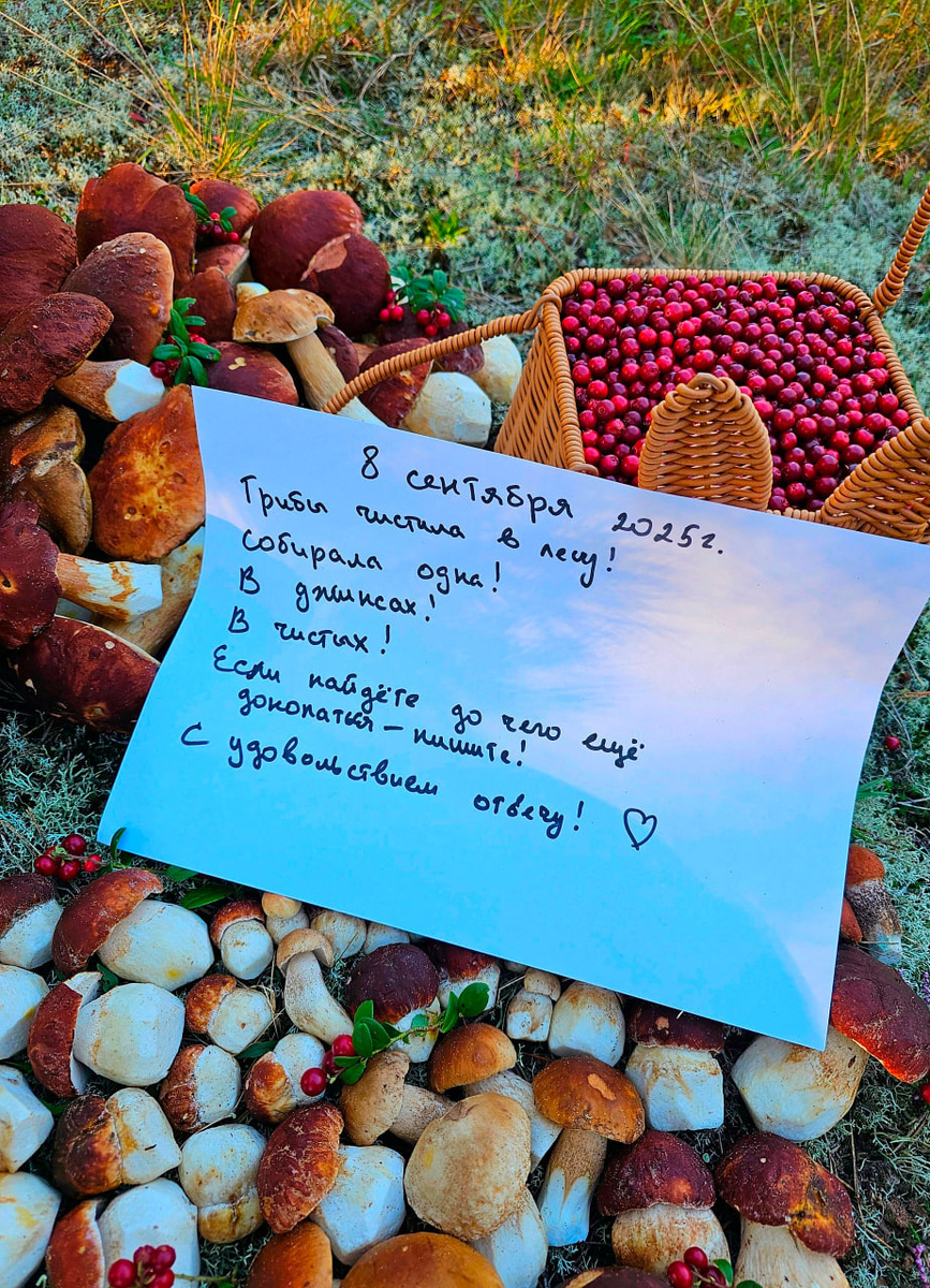 У кого пусто, а у кого и густо. Чтобы никто не сомневался, что и в 2025 году можно собрать много хороших грибов, Анна Пшеницына подписала своё фото и поделилась им в интернет-сообществе «Рыбалка на Чудском / Грибы Псковской». Фото: Анна Пшеницына