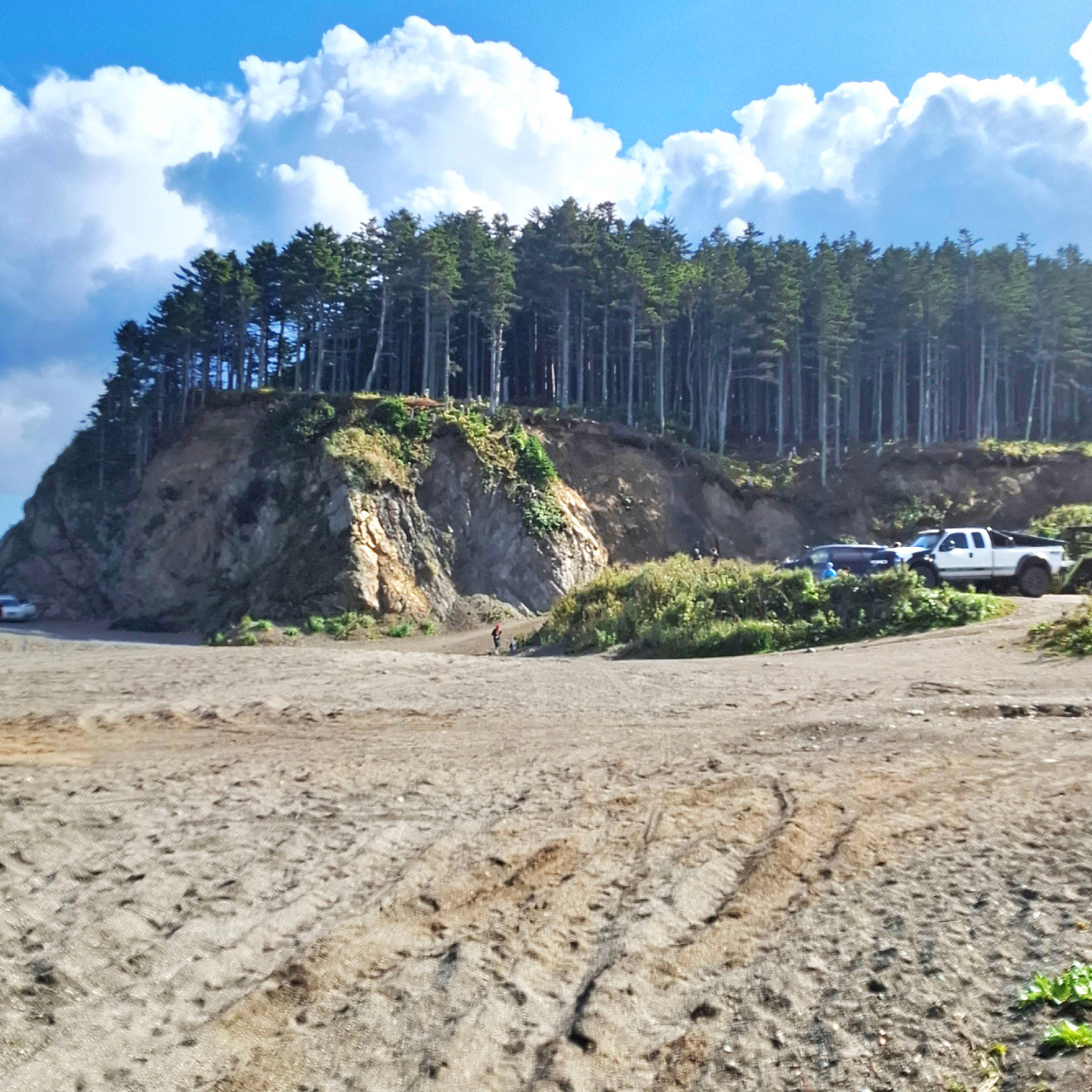 Лес фей и стоянка джипов рядом с мысом Птичий. Фото автора.