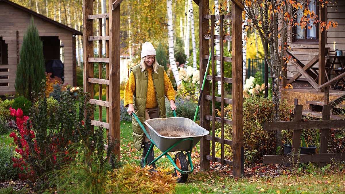Комплексная подготовка сада к зиме: что нужно сделать в октябре