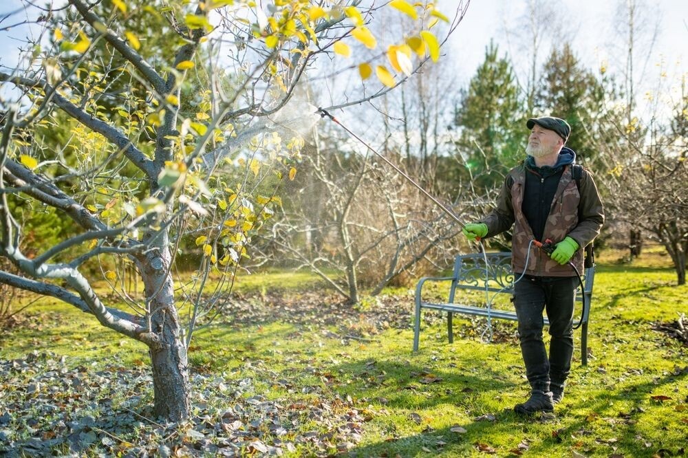 Обработка деревьев и кустарников в октябре в саду и огороде. Защита от вредителей