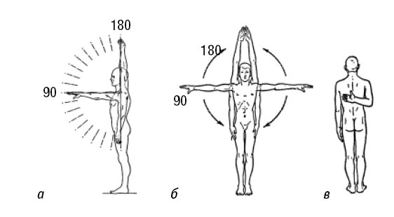 Диапазон движений (ДД) — это угол, на который сустав может отклониться от анатомического положения до крайней точки своего движения в определённом направлении.